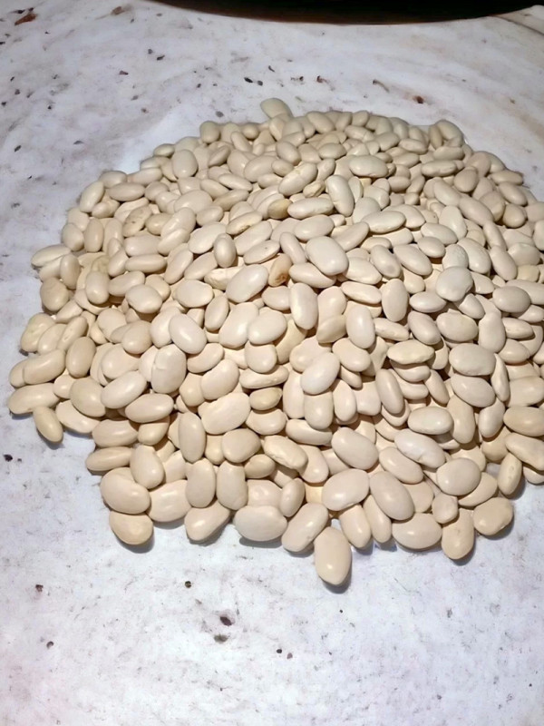 Meşhur Ahlat Fasulyesi 1 kg.